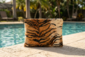 Cool Bag Tiger vid poolen i liggande format